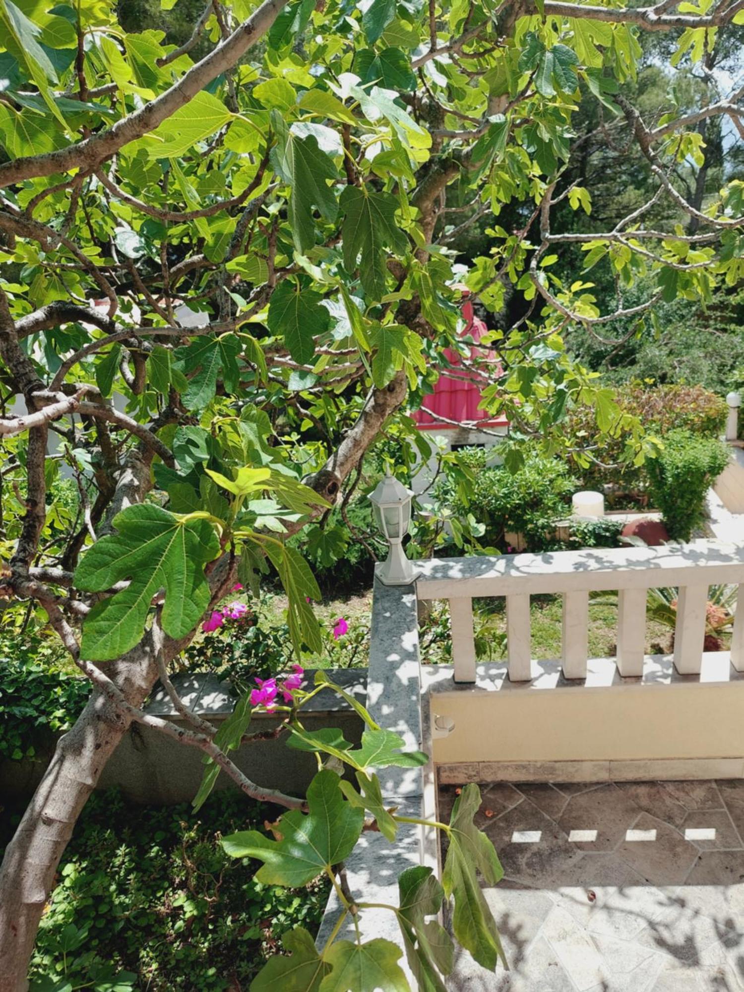 Villa Rosso Baška Voda Quarto foto